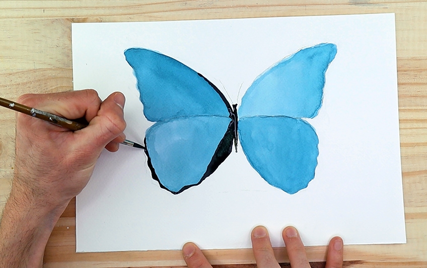 watercolor butterfly 3b