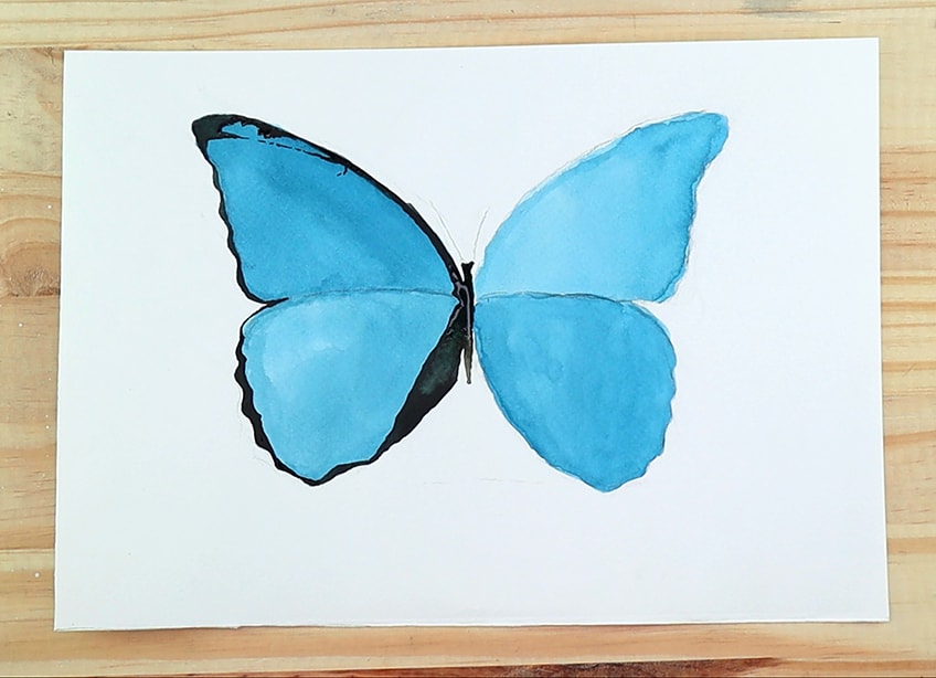 watercolor butterfly 3c