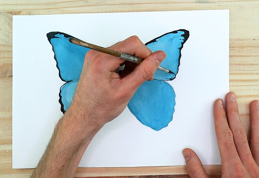 watercolor butterfly 4a