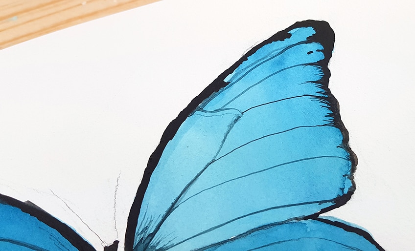 watercolor butterfly 5d