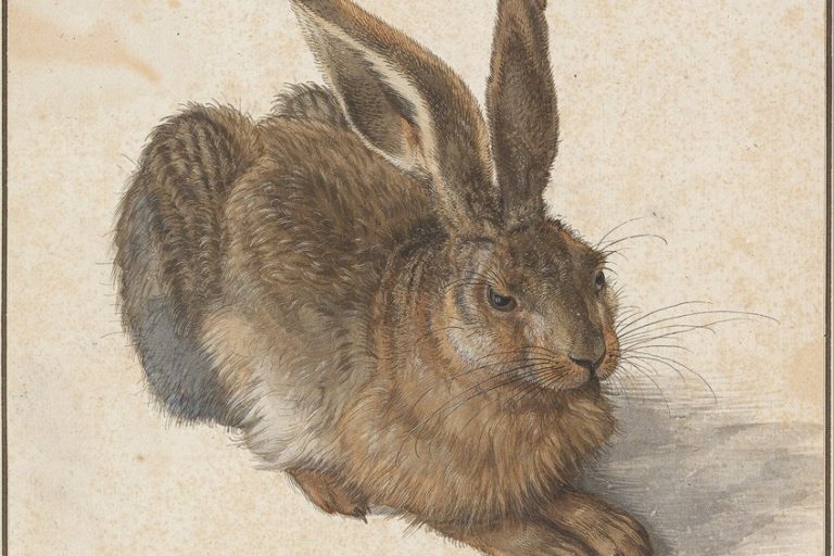 Albrecht Dürer Paintings – Exploring the Most Famous Dürer Paintings