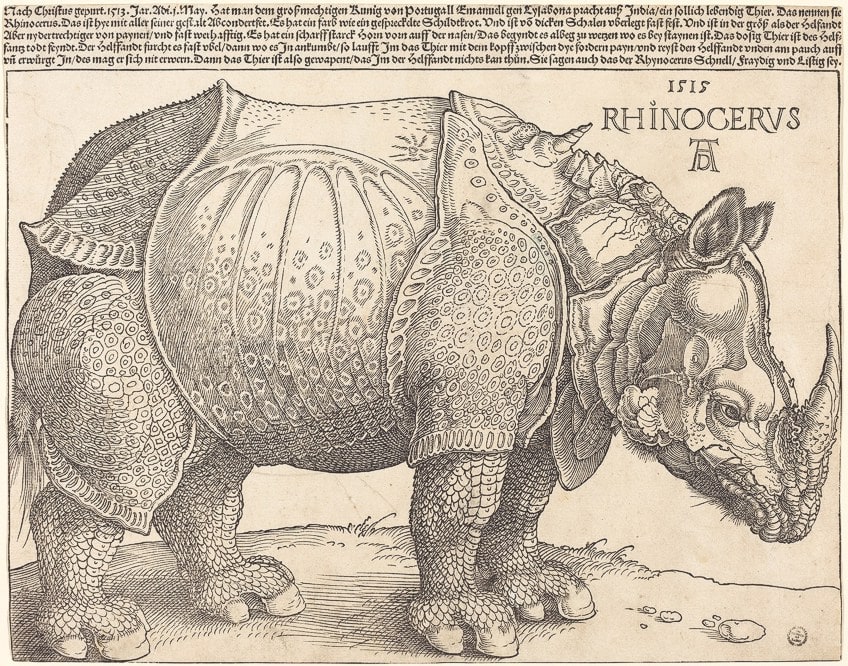 Dürer Paintings and Prints
