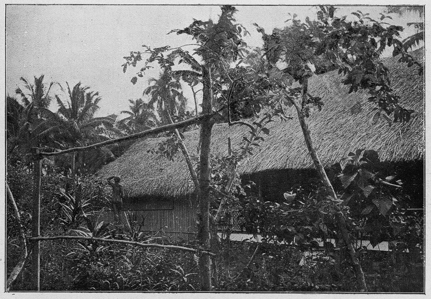 Gauguin Tahiti Hut