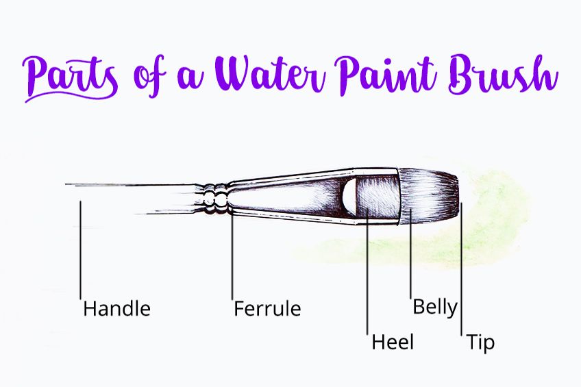Parts of a Water Paint Brush