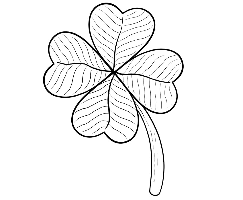 clover leaf drawing 07