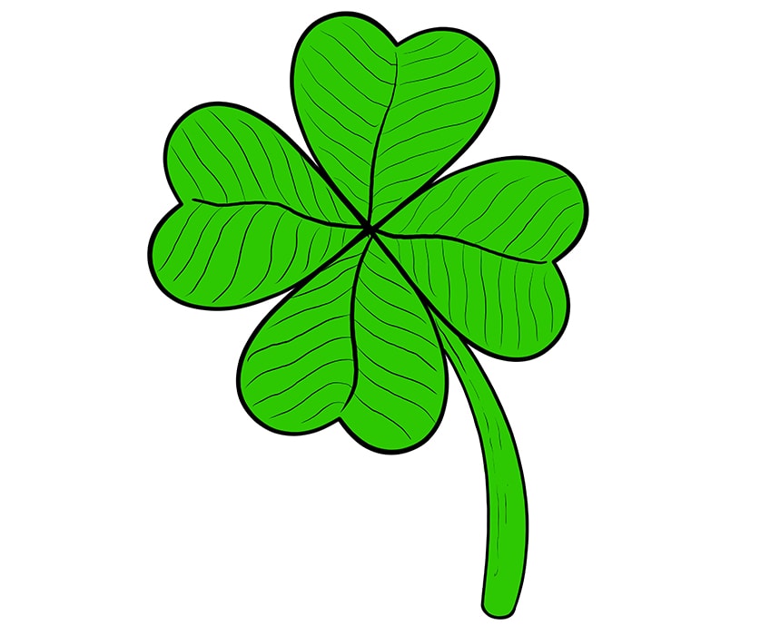 clover leaf drawing 08