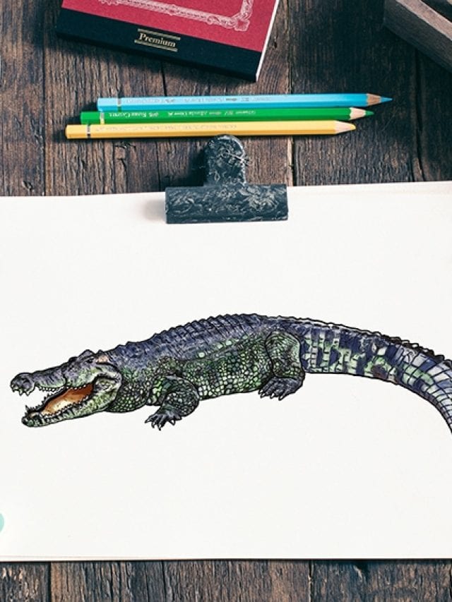 Lessons in Colored Pencil: The Crocodile - Creating a Masterpiece