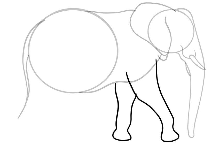 elephant drawing 08