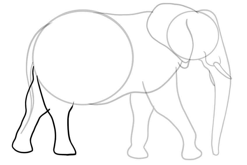 elephant drawing 09