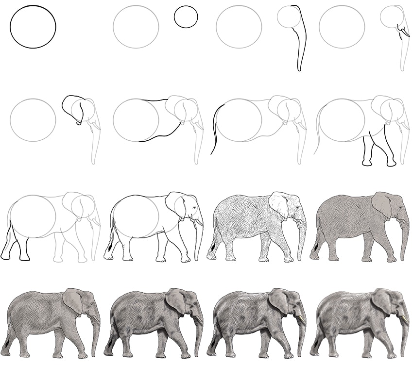 Premium AI Image | Cute Baby Elephant Line Art Drawing-saigonsouth.com.vn