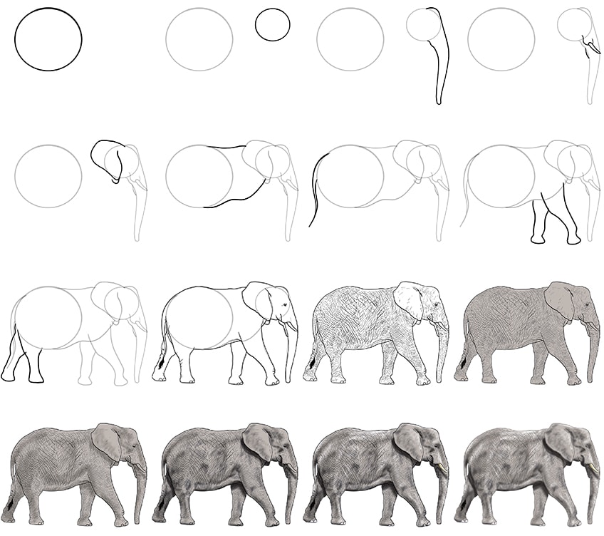 elephant profile drawing outline