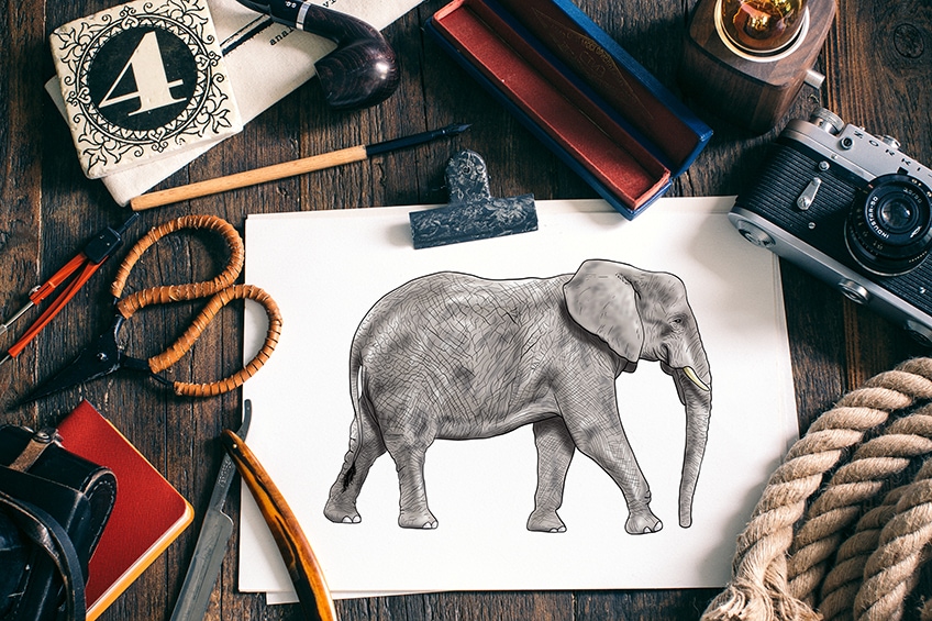 A Pen Drawing of an Elephant · Creative Fabrica