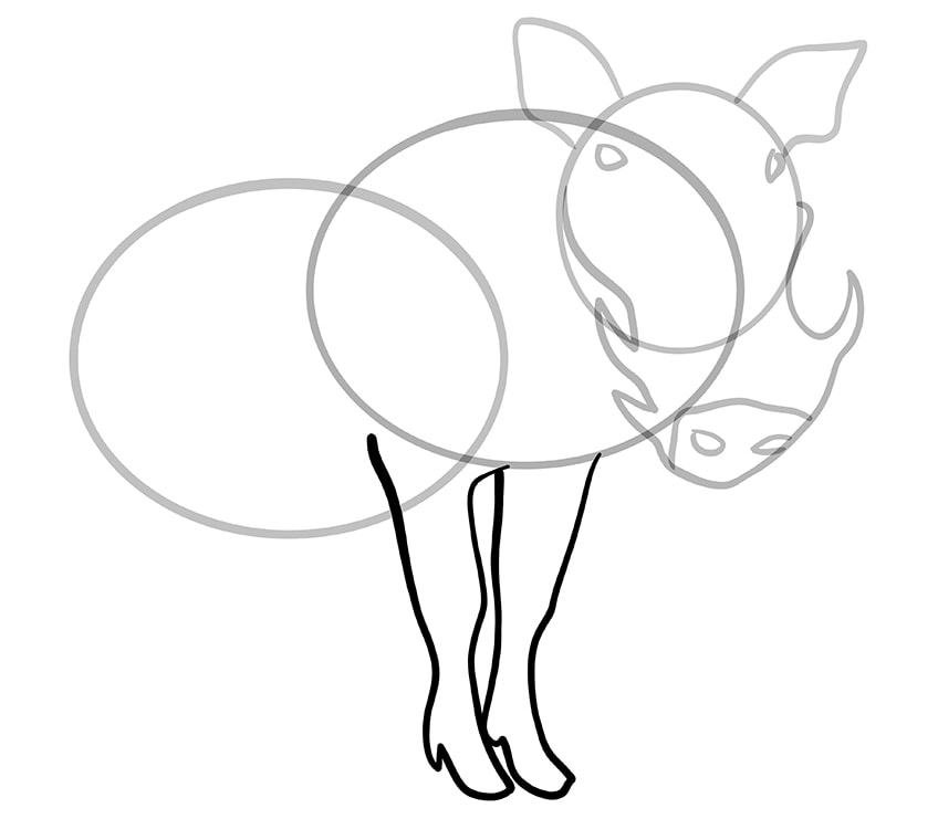 warthog drawing 07