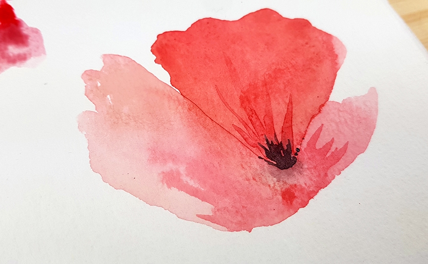 watercolor poppy 12