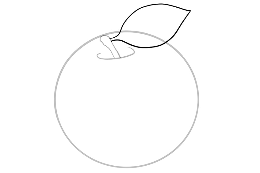 apple drawing 04