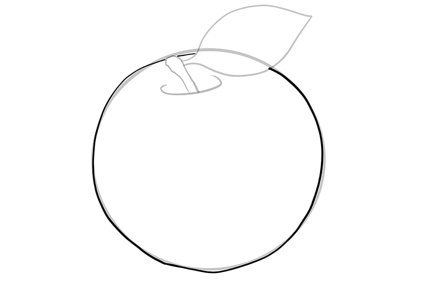 apple drawing 05