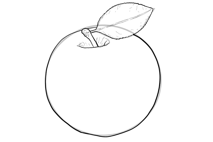 apple drawing 06
