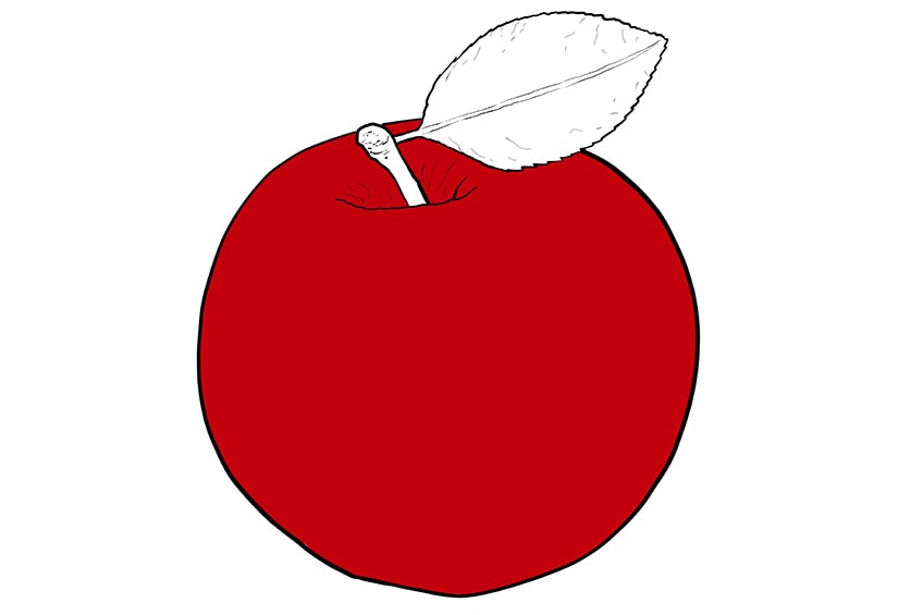 apple drawing 07