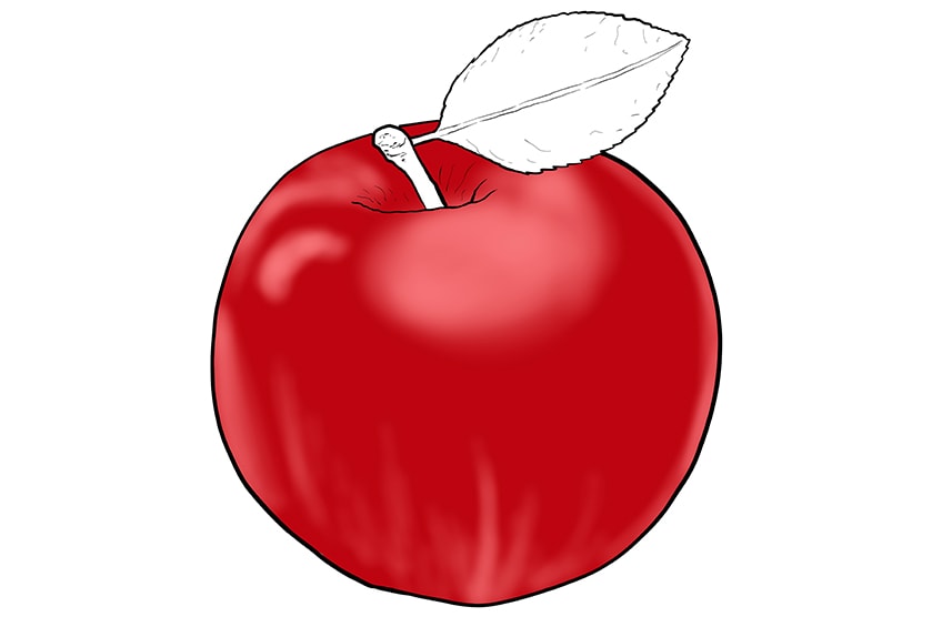 apple drawing 08