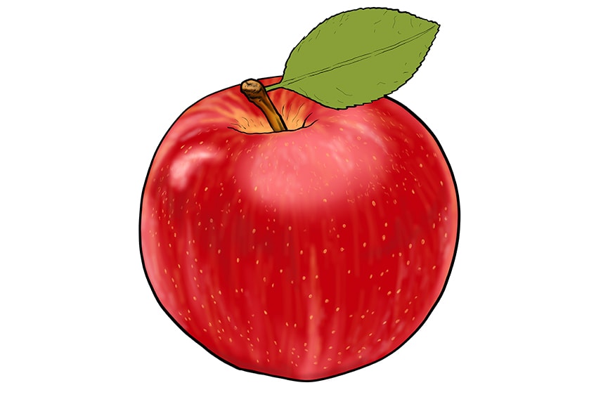 apple drawing 13