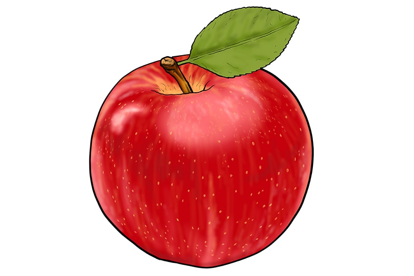apple drawing 14