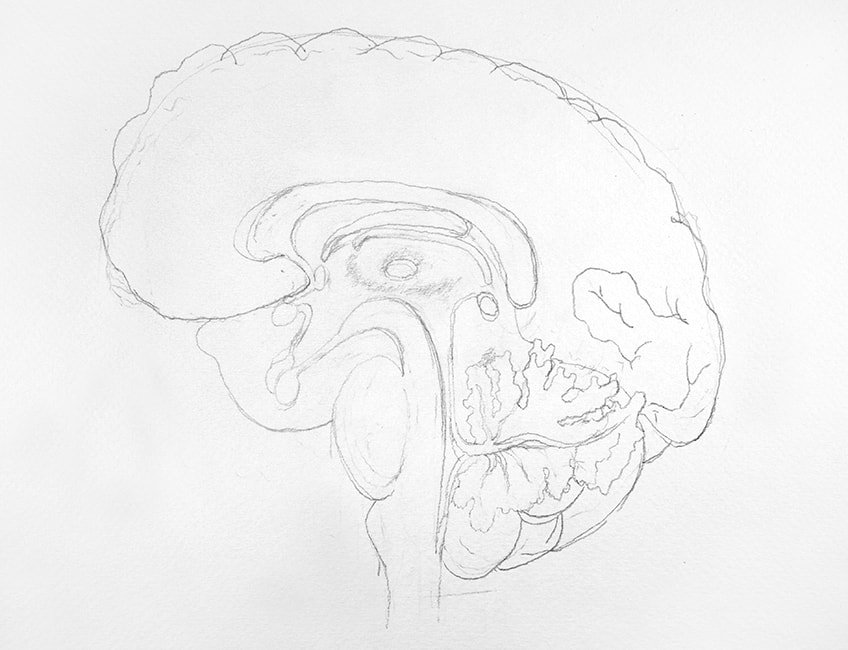 brain sketch 02
