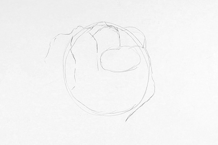 How to Draw a Fist – Clenched Fist Drawing Step-by-Step Tutorial - How To Draw A Clenched Fist
