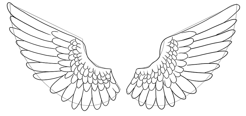wing drawings 10