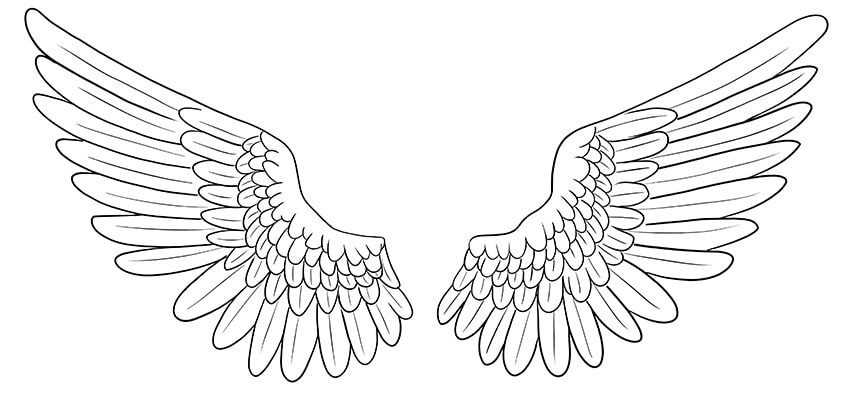 wing drawings 11