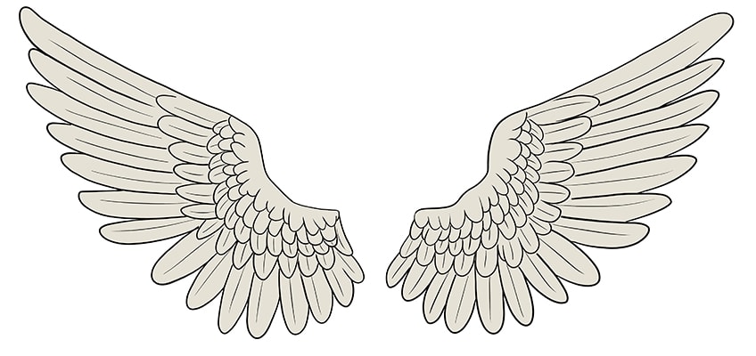 wing drawings 12