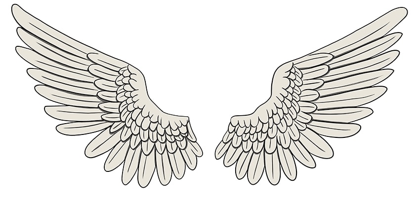 wing drawings 13