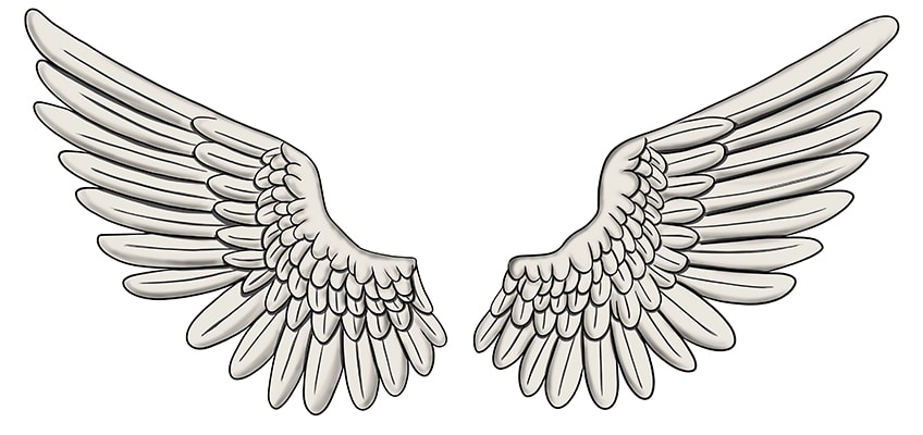 wing drawings 14