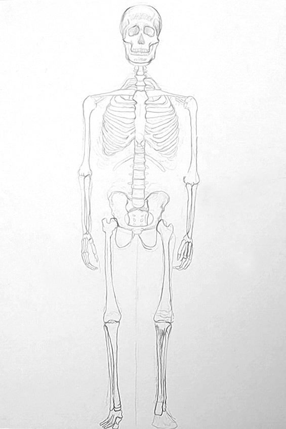 bones drawing 10