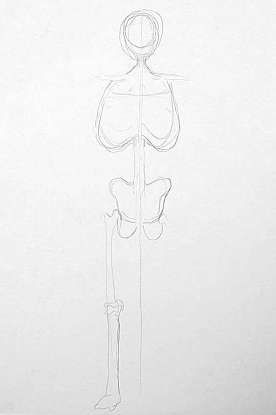 Bones Drawing 2