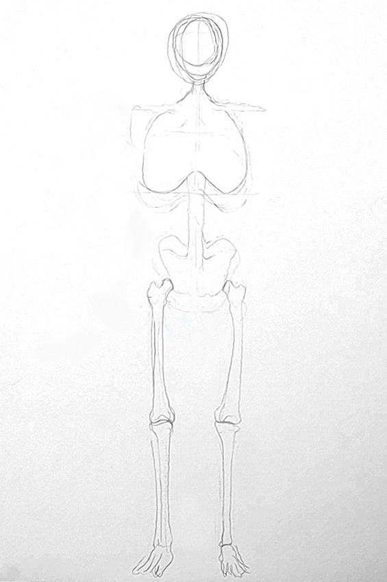 Bones Drawing 3