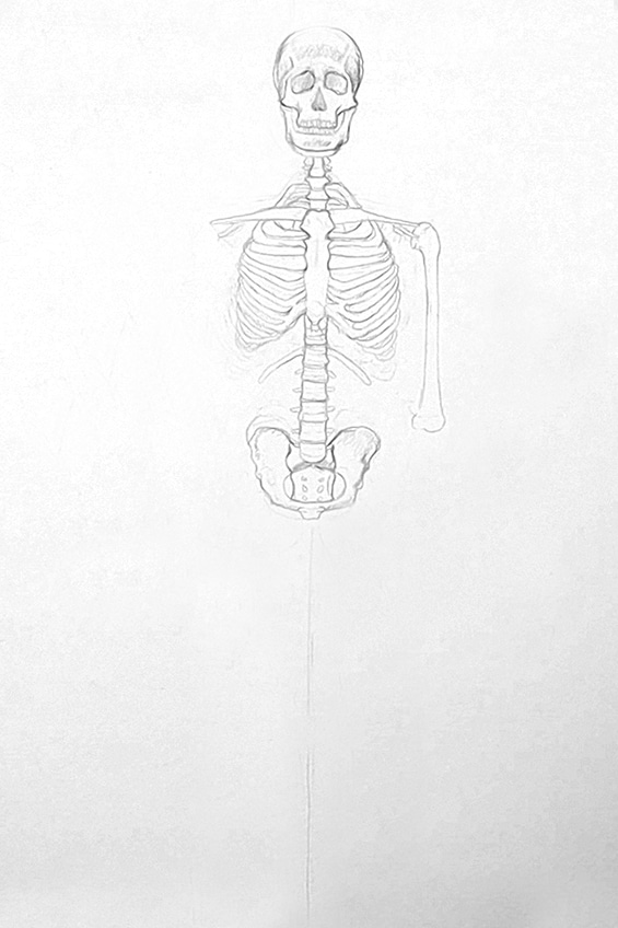 Bones Drawing 9
