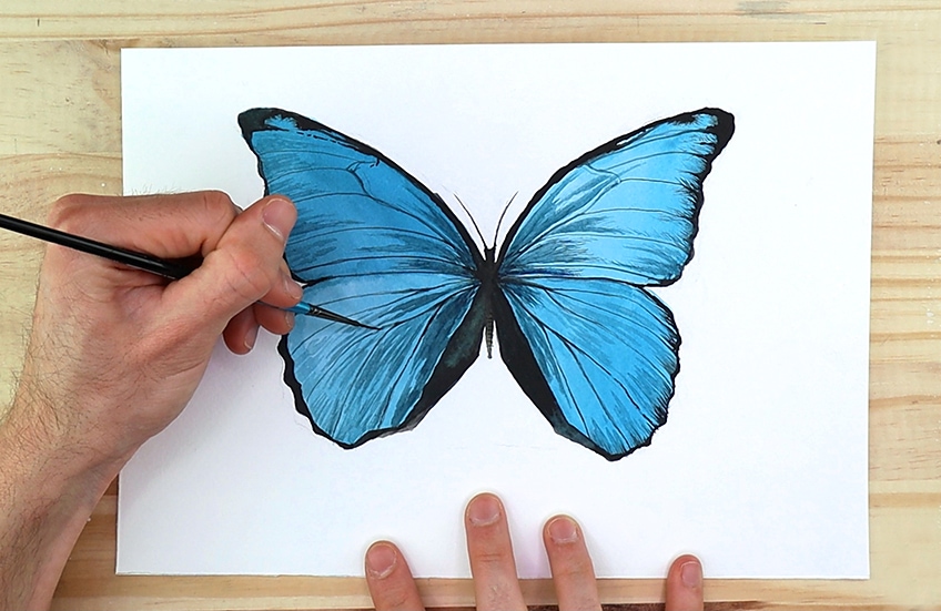 Easy Watercolor Butterfly