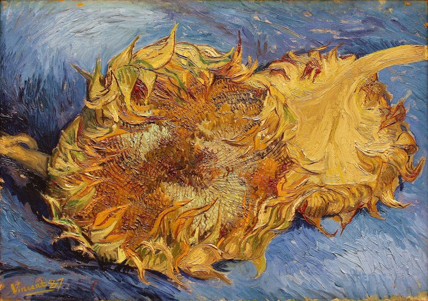 Famous Van Gogh Flower Paintings