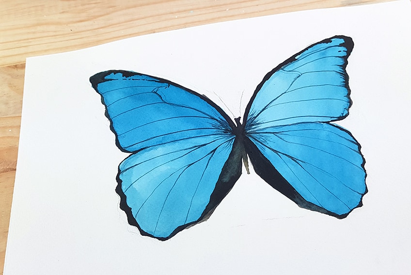 Fun Watercolor Butterfly
