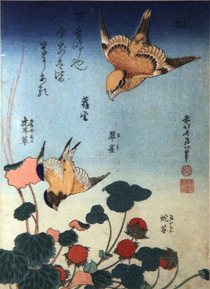 Hokusai Ukiyo-e Art