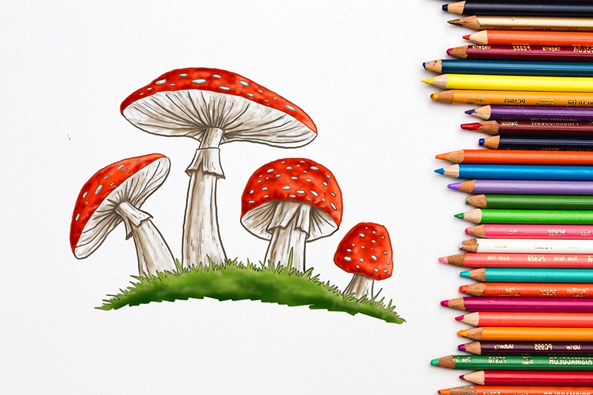 How to Draw A Mushroom: A Step-by-Step | How to Mimi Panda