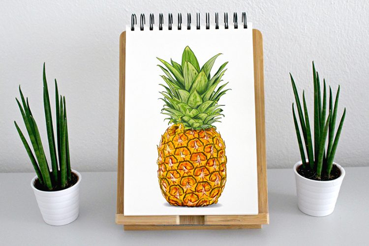 Pinapple Computer Drawing How to Draw a Pineapple - Detailed Step-by-Step Tutorial