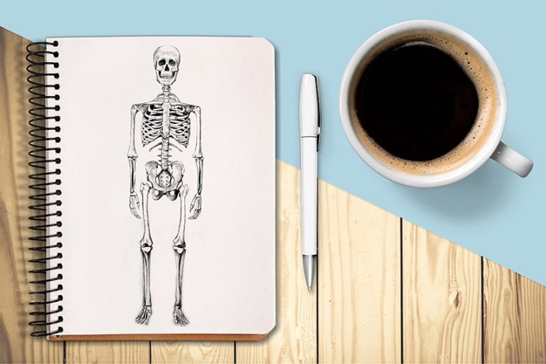How to Draw a Skeleton – Depicting the Bones in the Human Body