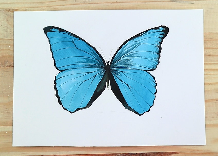 How to Paint Butterflies with Watercolor