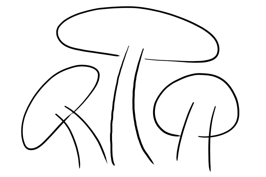 Mushroom Drawings 4