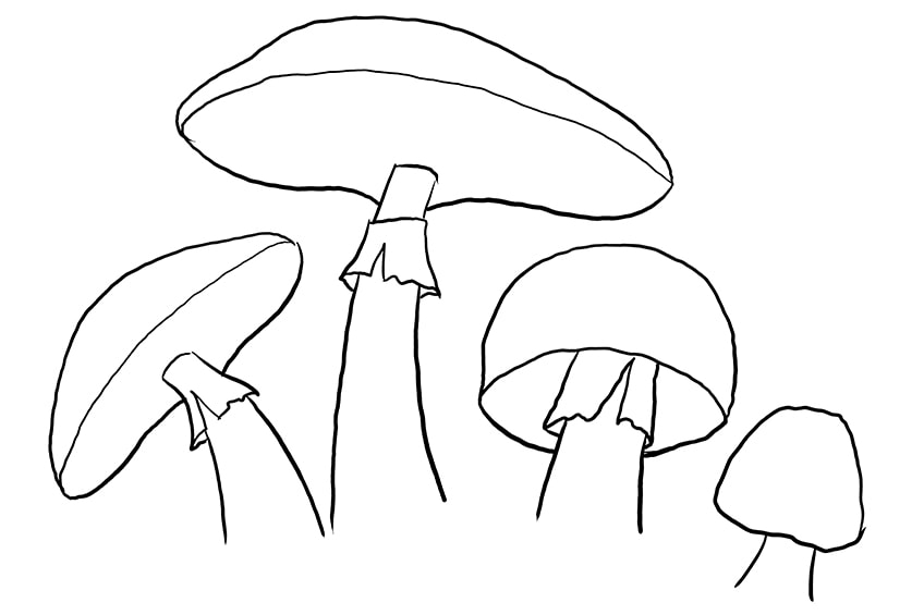 Mushrooms Doodle Art Adult Coloring Page | Karyn Lewis Illustration