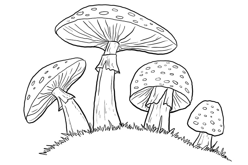 Mushroom Drawings 8