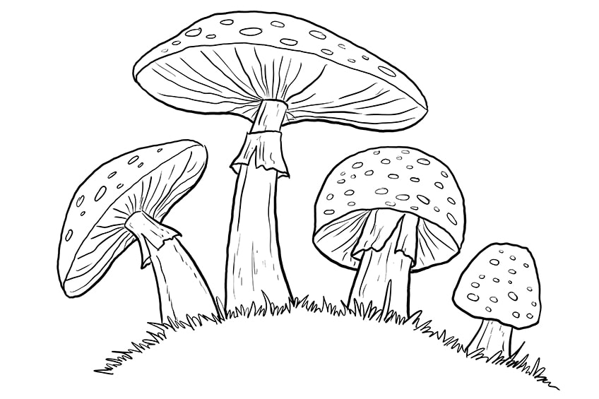 How to Draw a Mushroom - HelloArtsy