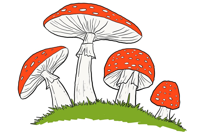 Mushroom Drawings 9