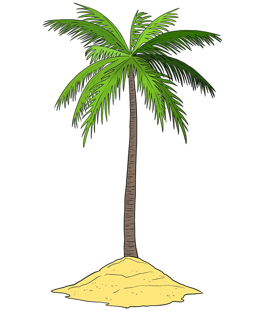 Palm Tree Drawing 10